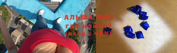 экстази Гусев