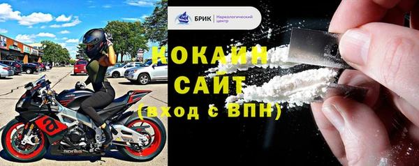 кокс Алексин